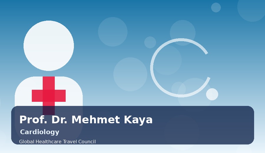 Prof. Dr. Mehmet Kaya