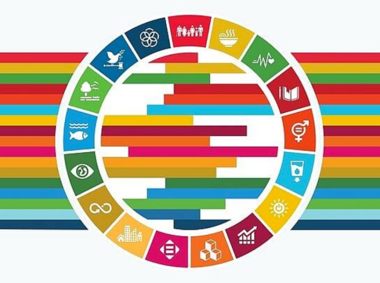 Hybrid Workshop series on Sustainable Development Goals (SDGs) with ...